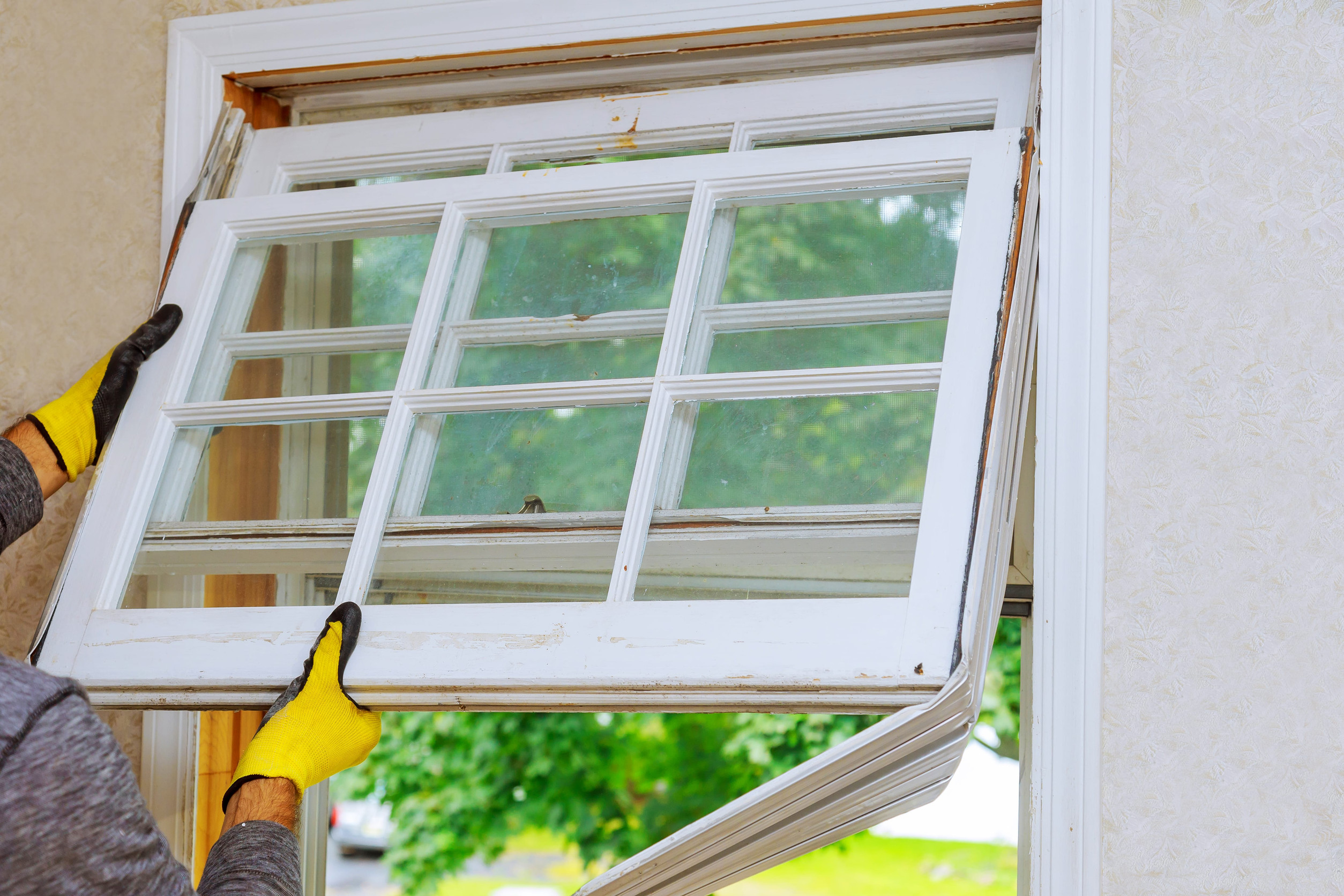 Important Questions to Ask Before Replacing Your Windows