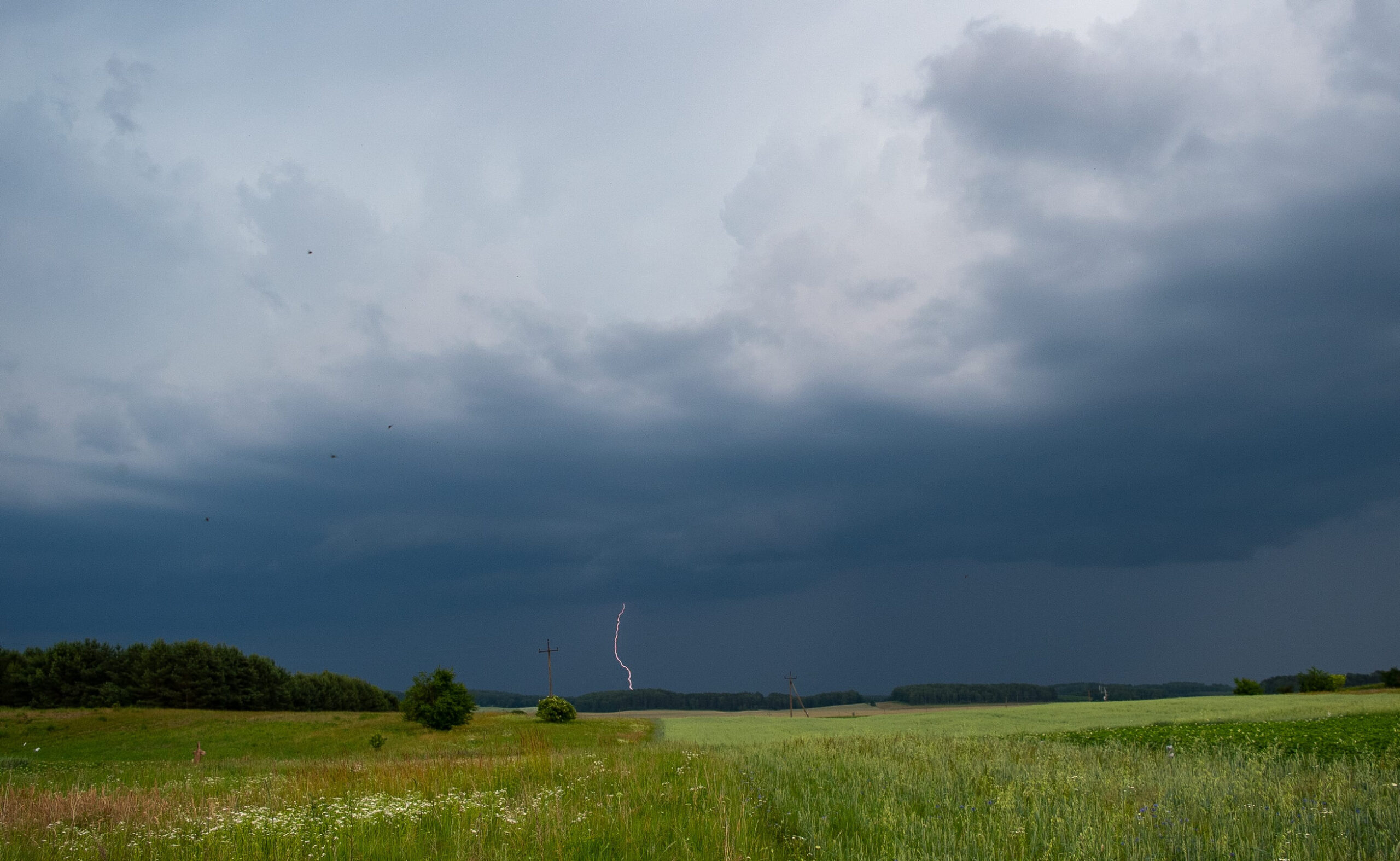 How to Prepare Your Home for Severe Summer Storms