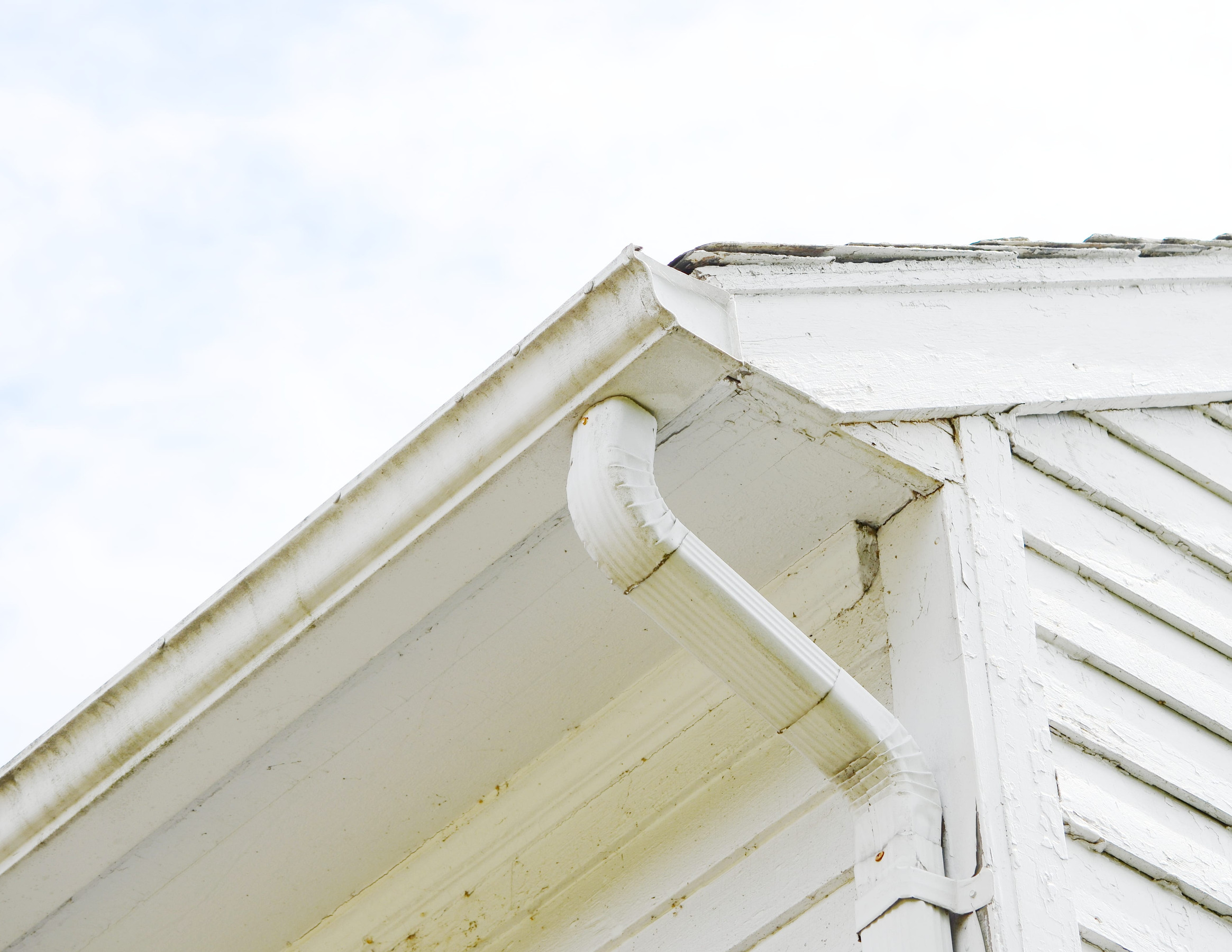 Avoid Costly Foundation Damage with This Expert Knowledge