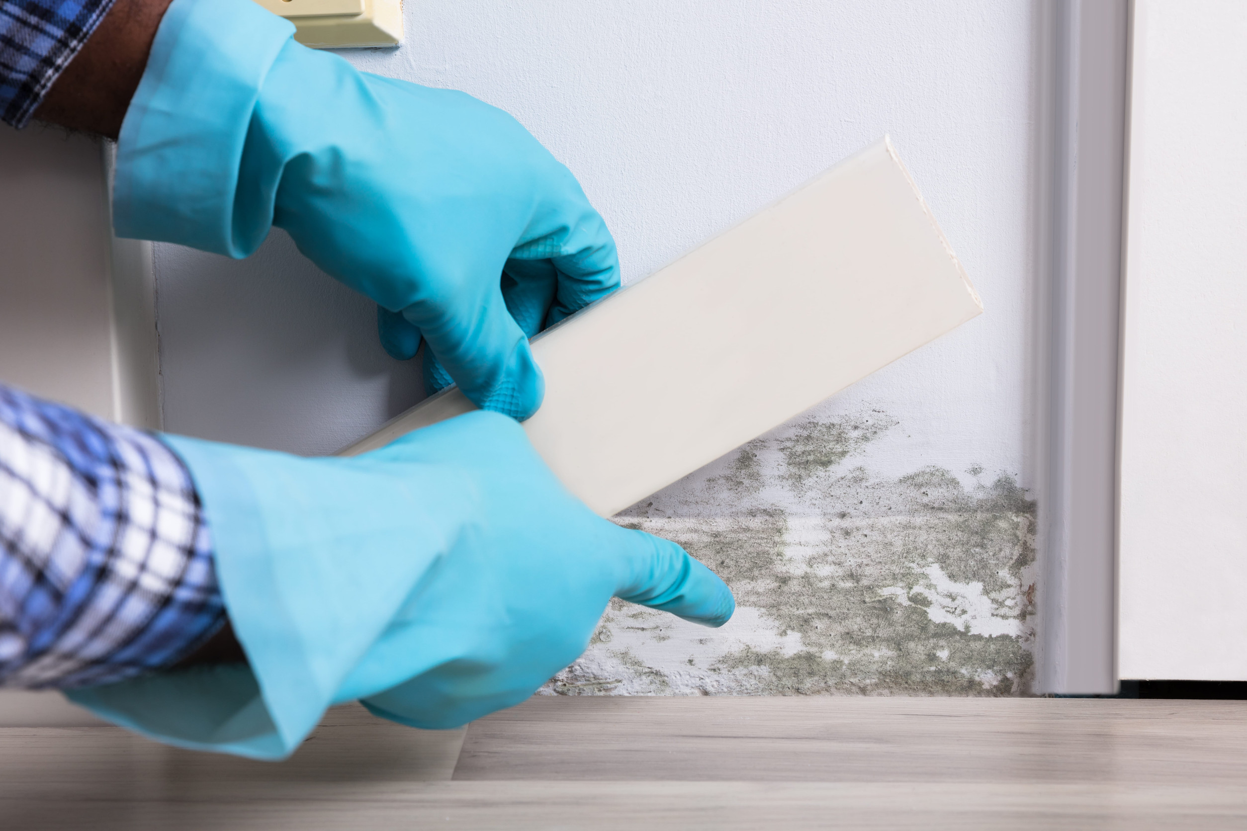 Hidden Water Damage Behind Siding: Warning Signs to Watch For