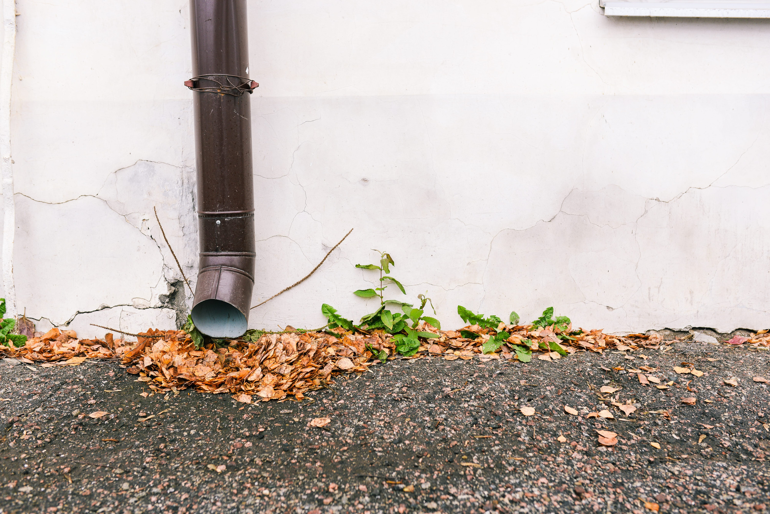 Fall Gutter Maintenance: Protect Your Home Before Leaves Drop