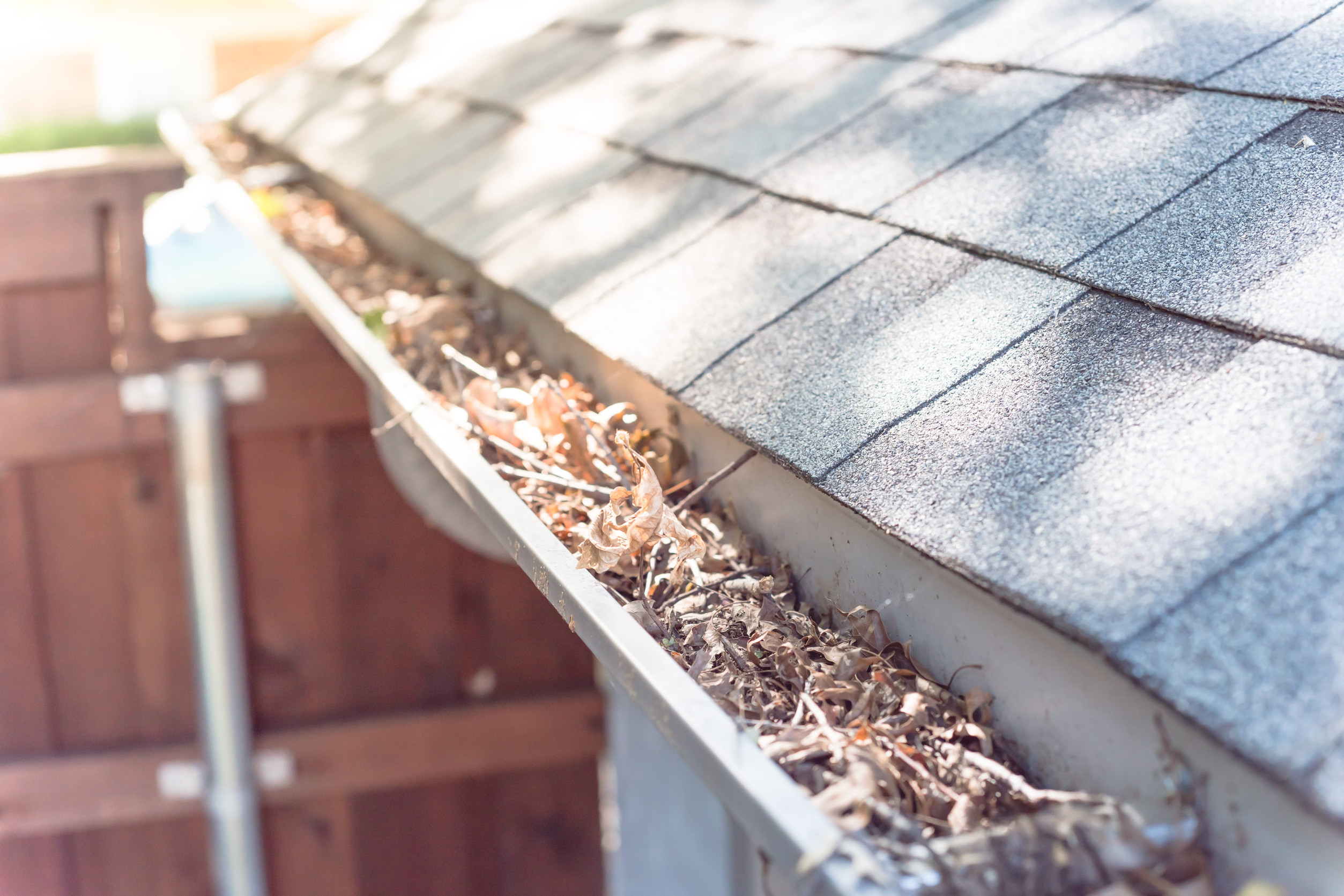 7 Frightening Exterior Home Problems to Watch For